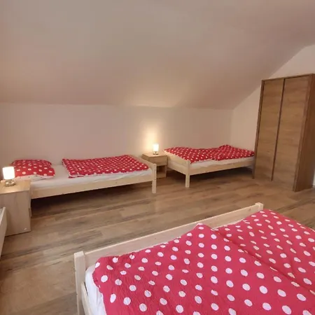 Tomasek V Blizkosti Arealu Holiday home Dolni Dvur