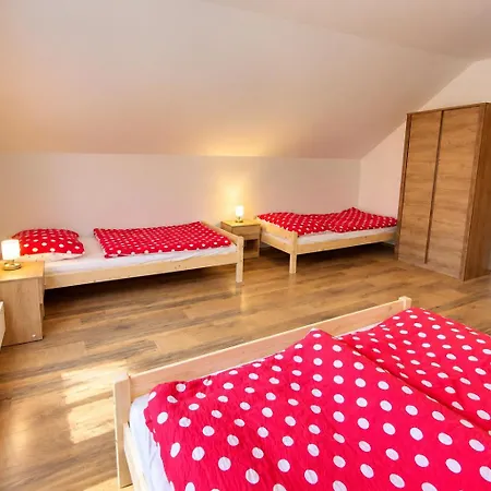 Tomasek V Blizkosti Arealu Ferienhaus Dolni Dvur